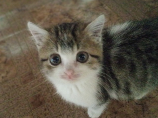 Когда говоришь ей, что у нас уже есть