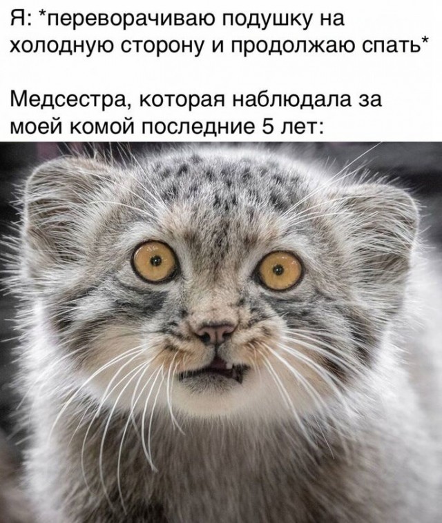 Бредзона 21.03.2021