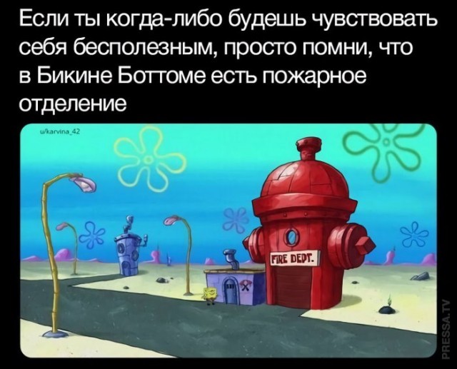 Картинки и мемы для настроения 029