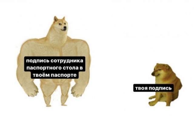 Картинки и мемы для настроения