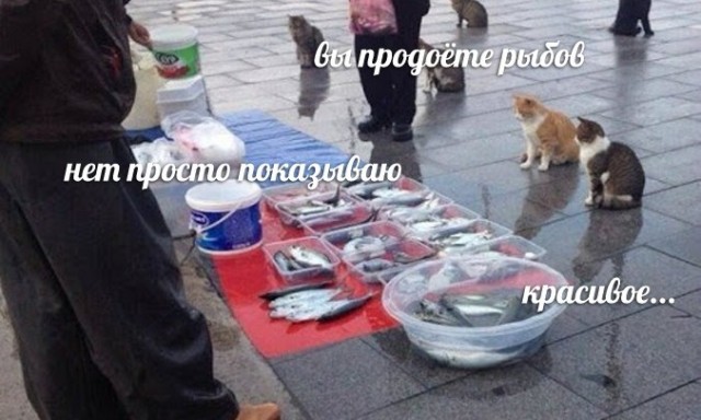 Еда в белорусской больнице. Минимум не умрёшь.