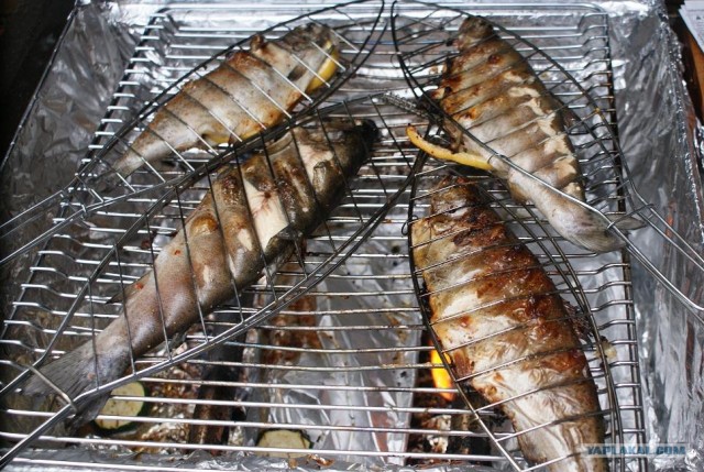 Пятничные посиделки на теплотрассе ©