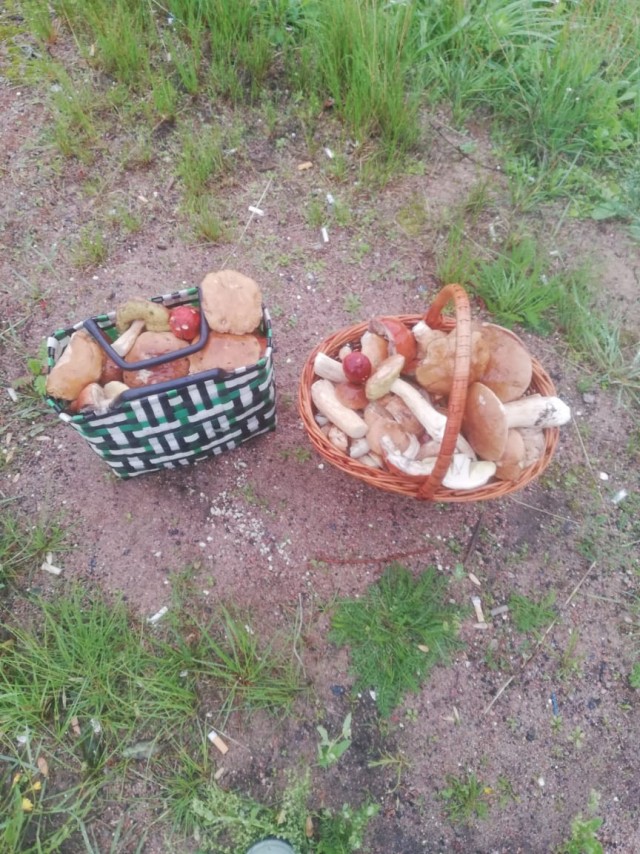 Нет покоя увлечённым