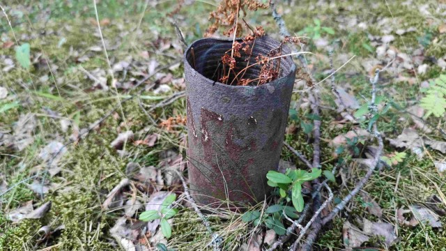 16 занятных находок от людей, которые понятия не имели, что они нашли, но на помощь пришли люди из Интернета