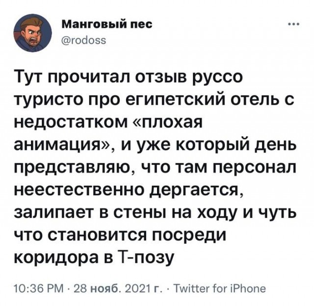 Всяческие картинки 01.12.2021