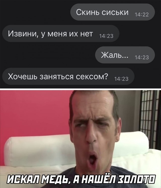 Весёлый полтишок 24.12