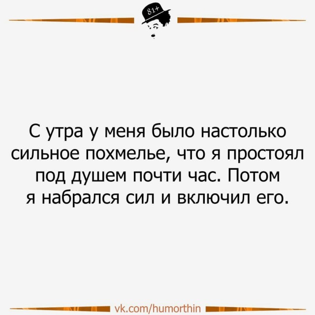 Весёлый полтишок 17.01