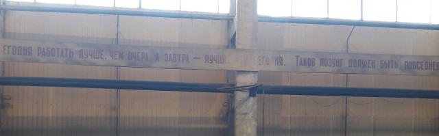 Настенная жизнь обычного завода
