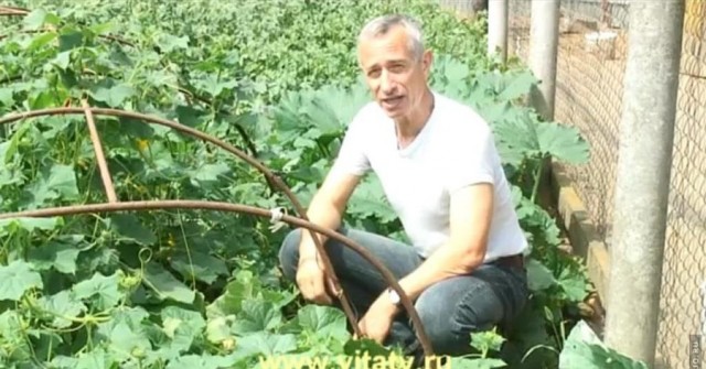 С Днем Радио!