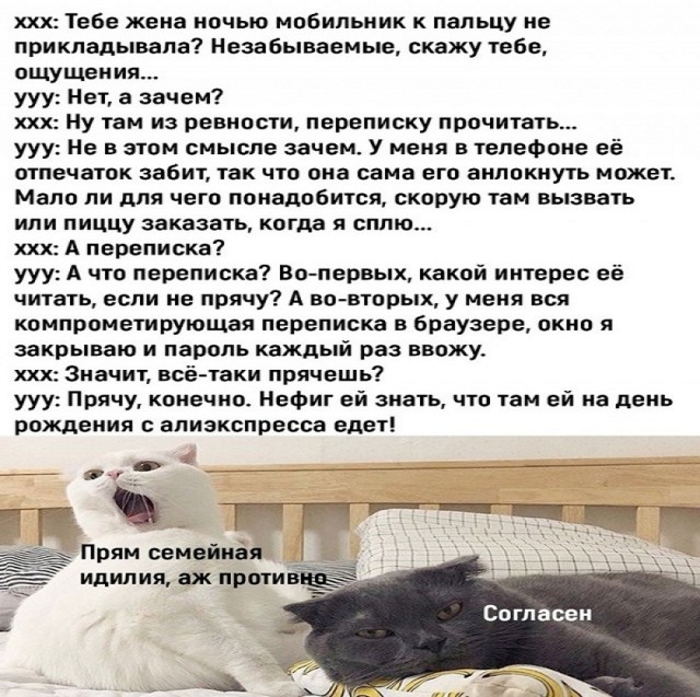 Картинки и мемы для настроения - 11