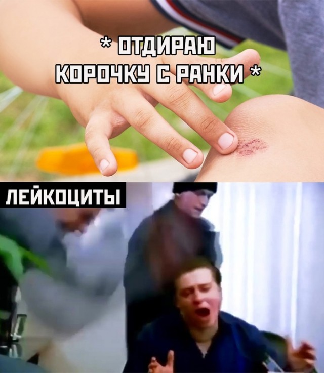 Картинки и мемы для настроения - 009