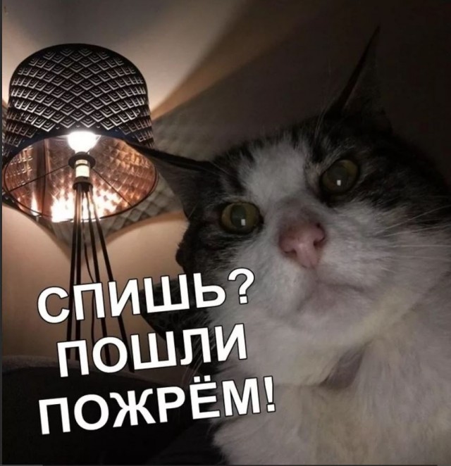 Победная поступь идиотизма по планете.