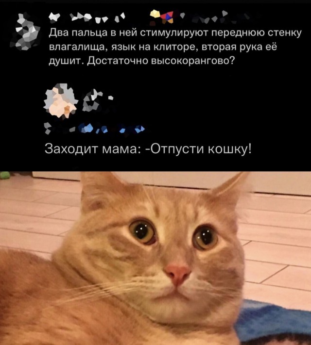 Местами суровая действительность (баяны)
