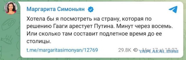 Международный уголовный суд в Гааге выдал ордер на арест Владимира Путина и Львовой-Беловой