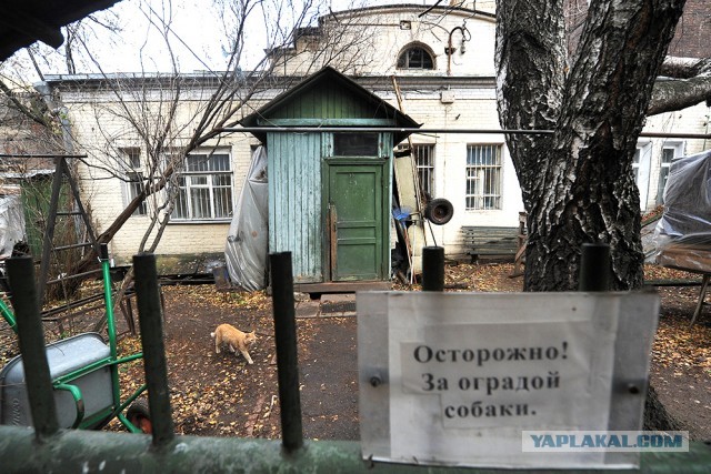 Человейник лучше дома
