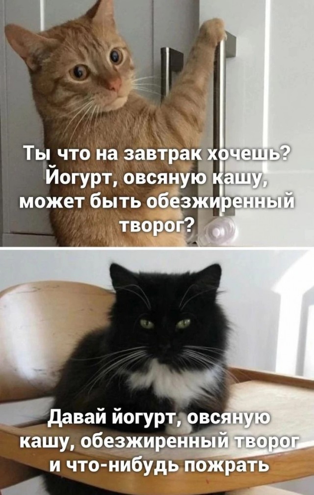 Немного картинок и прочей хреноты Vol. 23
