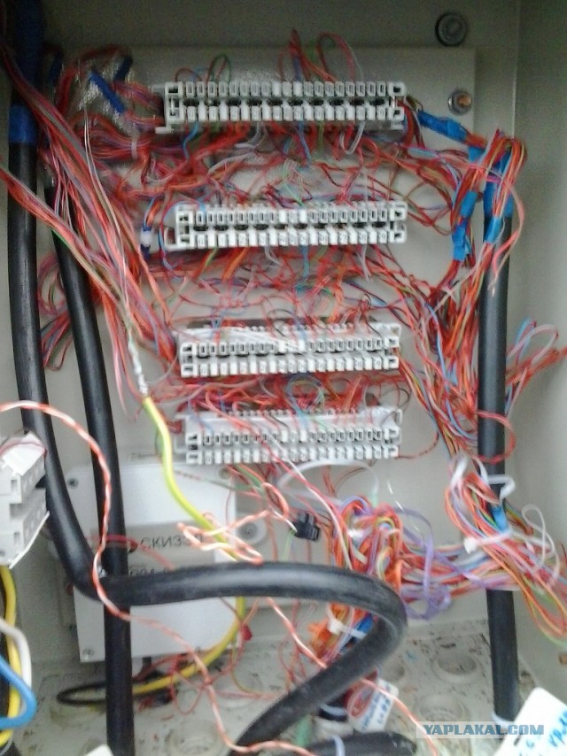 Как я впервые укладывал много кабеля