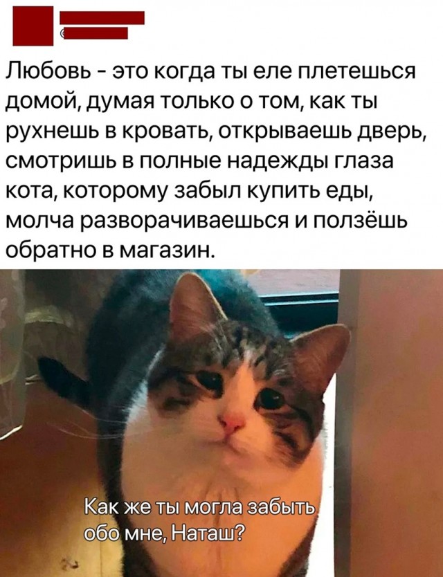 Так себе картинки 13.07.23