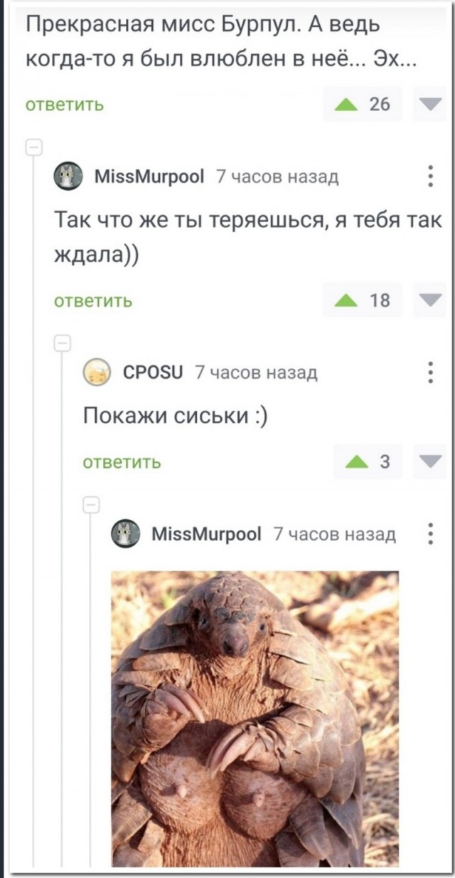 Постыдное с сайтов знакомств часть 5