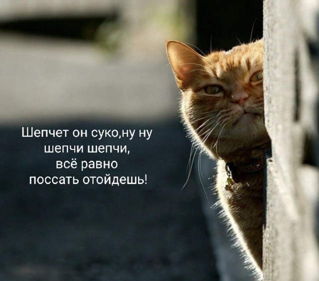 Этого мастера по IP найду