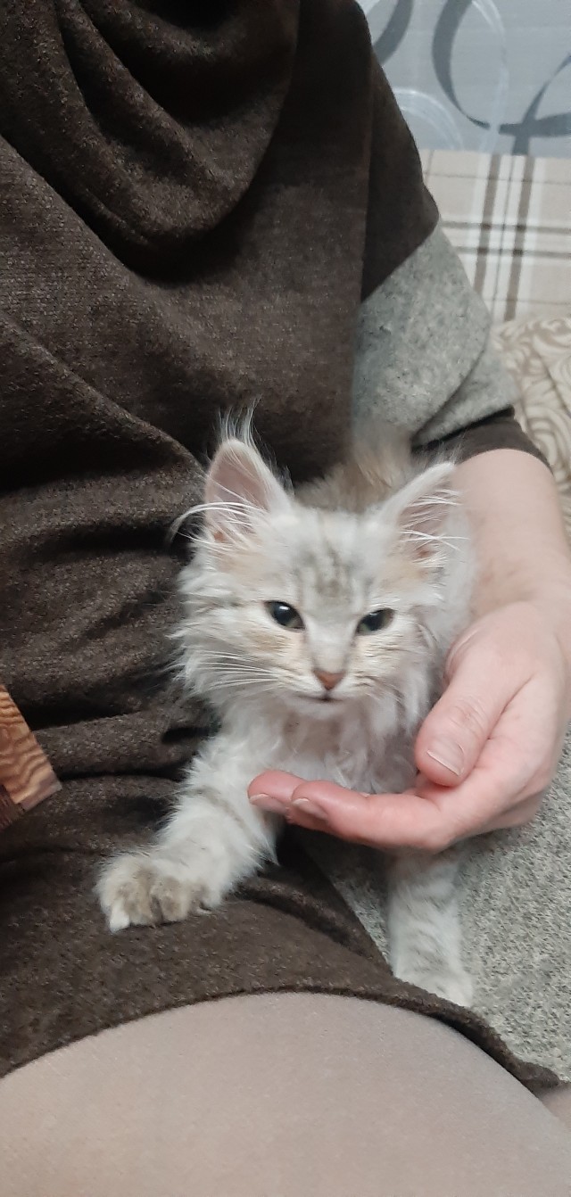 Очередной звиздец