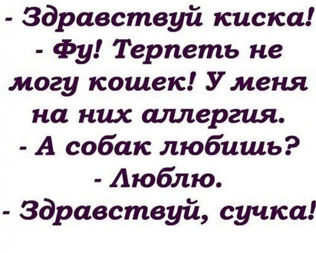 Юмор в картинках и без