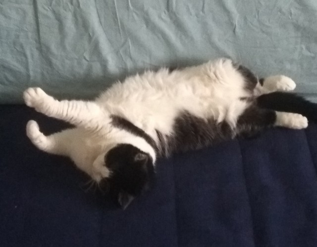 Женщина, дай мне уже сделать кусь!