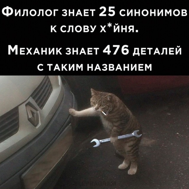Забавные картинки, шутки из этих ваших интернетов