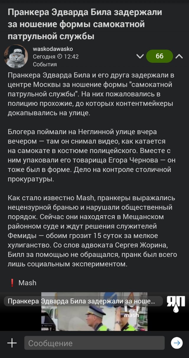 В Санкт-Петербурге правоохранители ловили Петра 1, который гонял на самокате