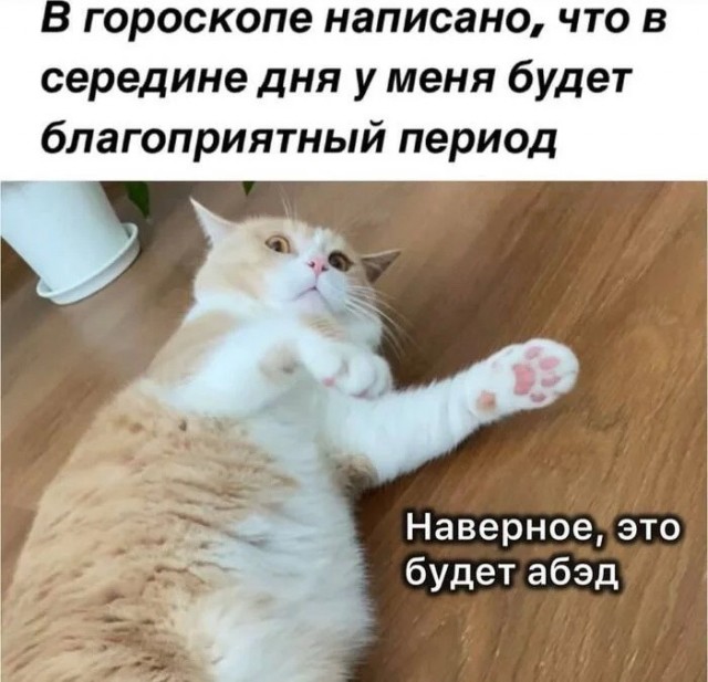 Заключительные баяны на этой неделе