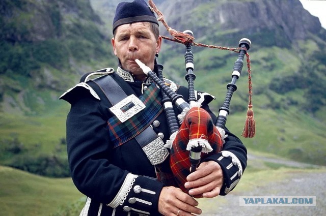 В данном видео не звучит ни один инструмент