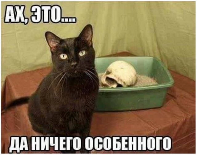 Картинки всякие