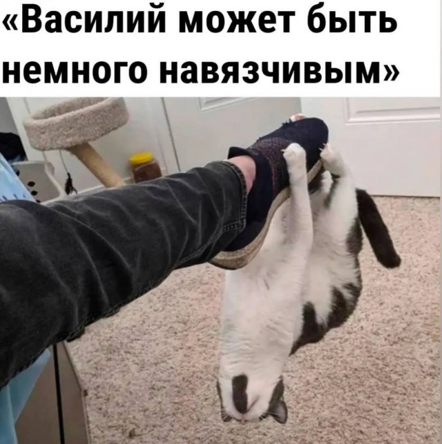 Завалялось тут случайно немного забавных картинок