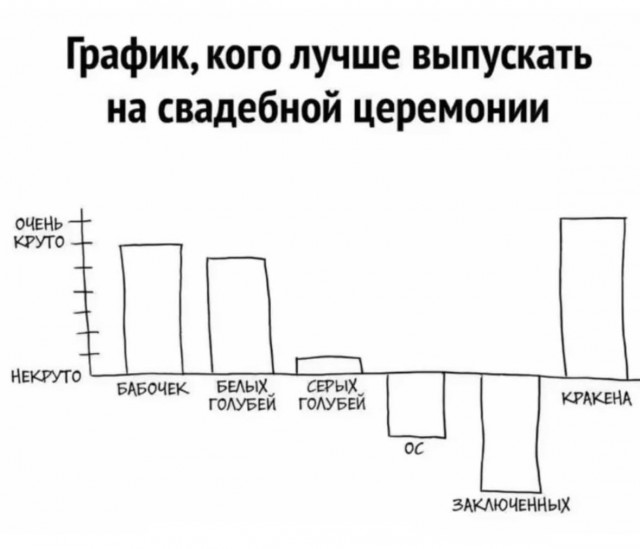 Всего понемногу. От 27.02.2025