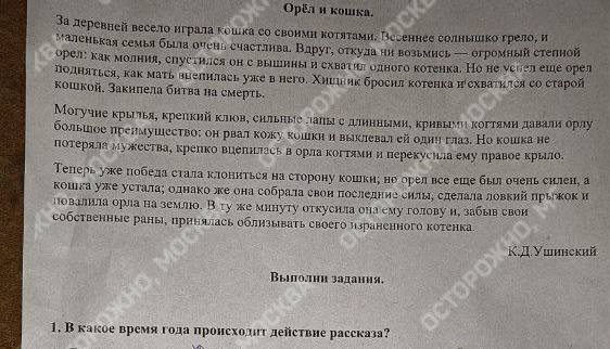Несколько дней назад родители второклассников школы в Западном Бирюлеве пожаловались на домашнее задание по литературе