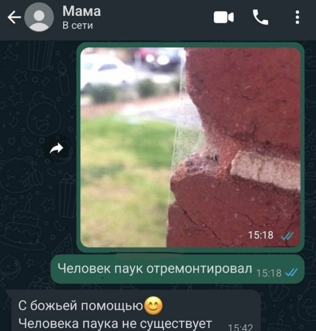 Так себе картинки 09.03.25