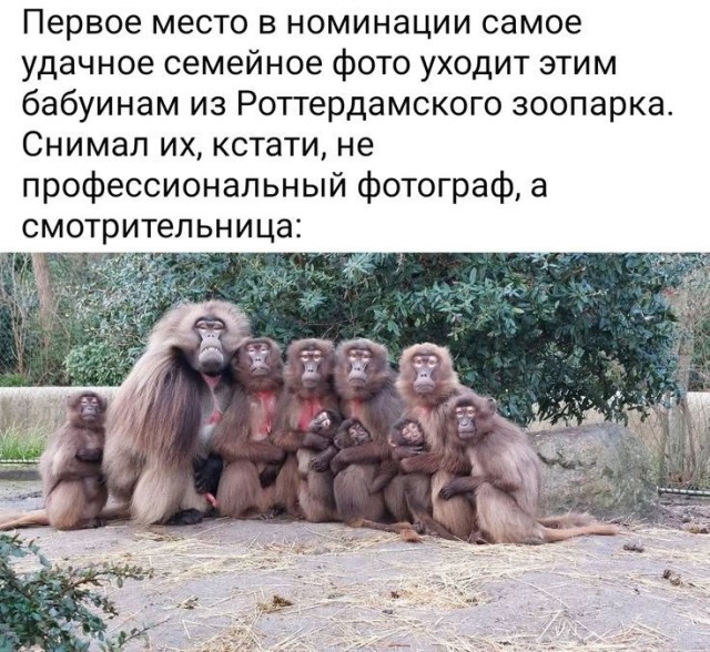 Раздача сокровищ из галереи