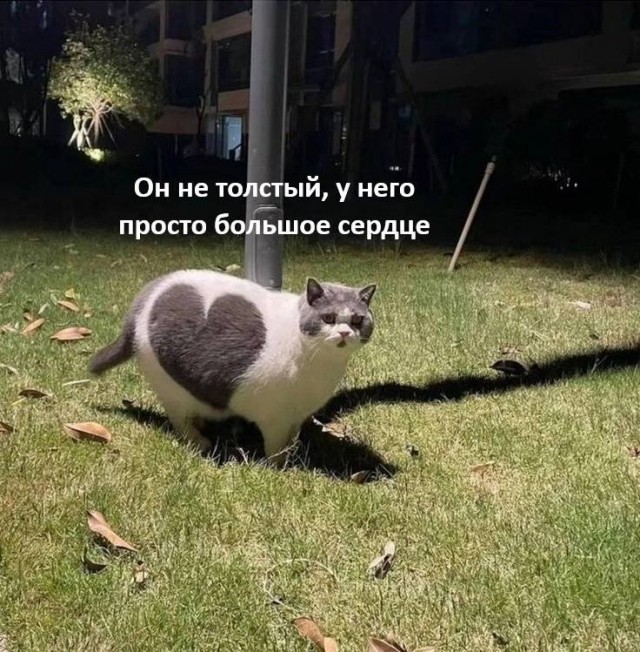 Картинки для деградации -2 (разной степени свежести)