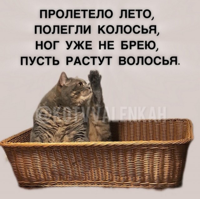 Так себе картинки 19.08.25