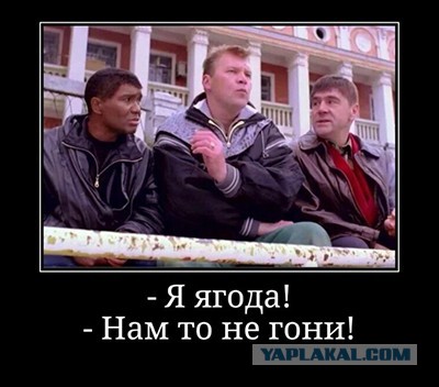 Беда пришла, откуда не ждали