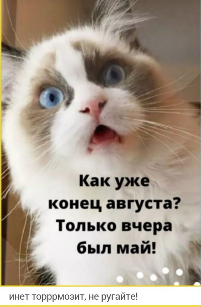 ТРРРидцать тРРРи от 29 августа