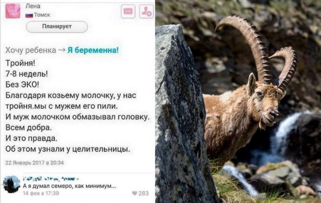 Бессистемные картинки
