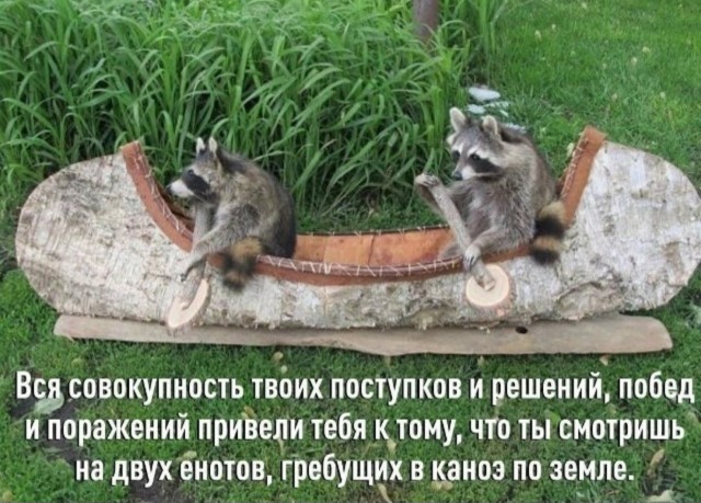 Картиночки, баянчики 14 января