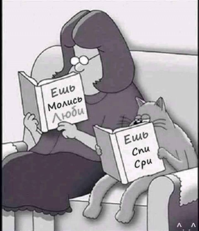 Картинки для деградации 144 (разной степени свежести)