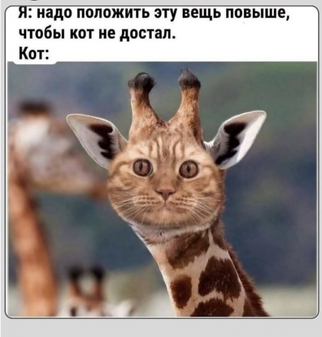 Субботние картинки