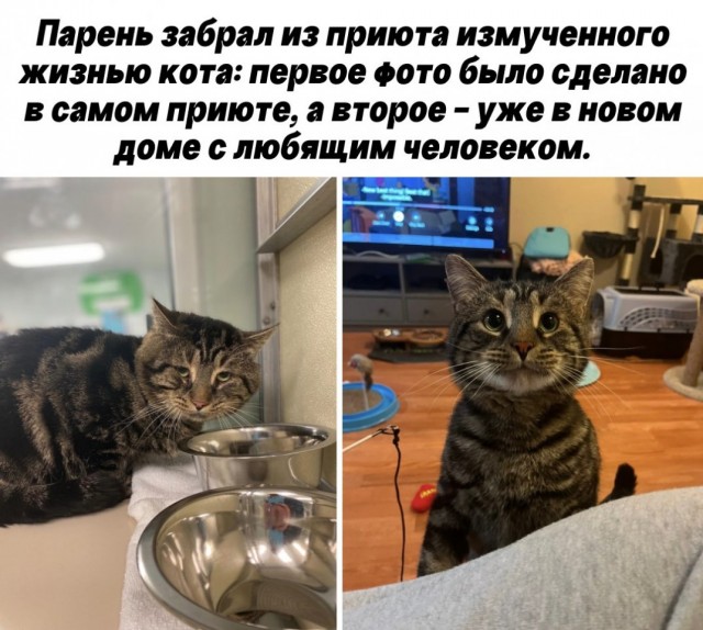Так себе картинки 22.03.26