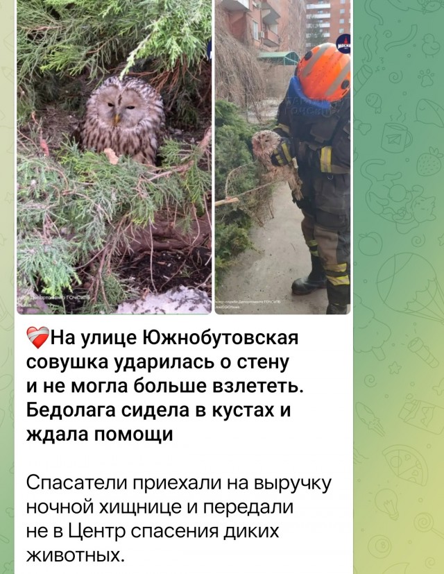 Пятничное разоблачение года.