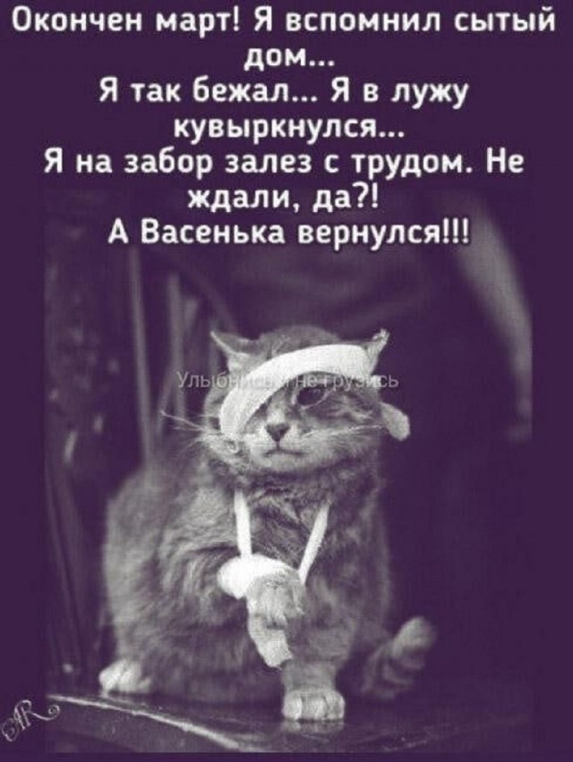 Так себе картинки 03.04.26