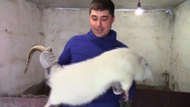 Самый лучший тест на проверку человека