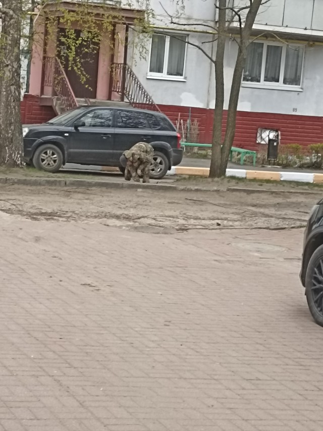 Зачем красят бордюры весной?